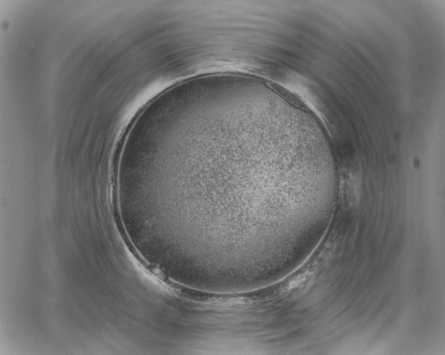 X0000067901143200604201328