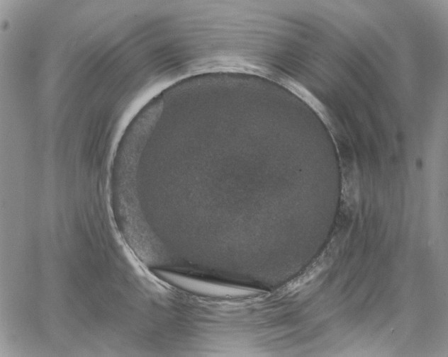 X0000067901144200604201328