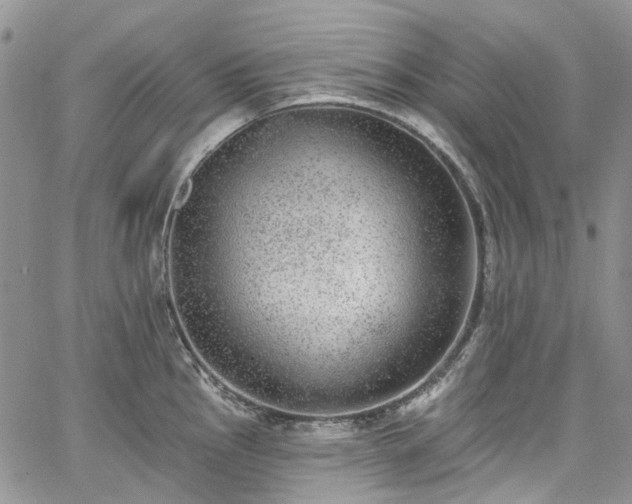 X0000067901145200604201328