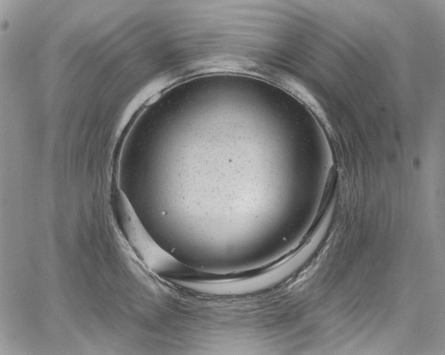 X0000067901146200604201328