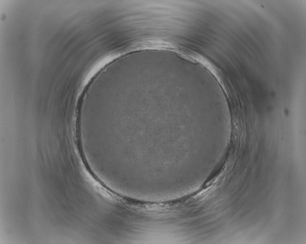 X0000067901147200604201328