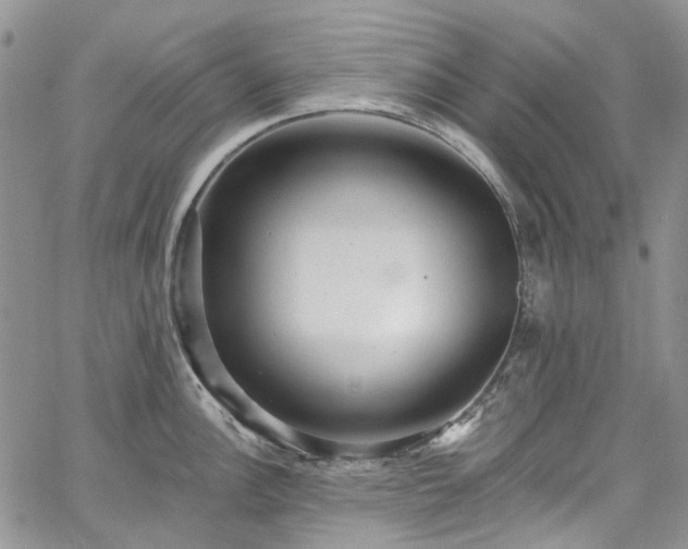 X0000067901148200604201328