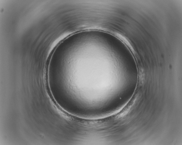 X0000067901149200604201328