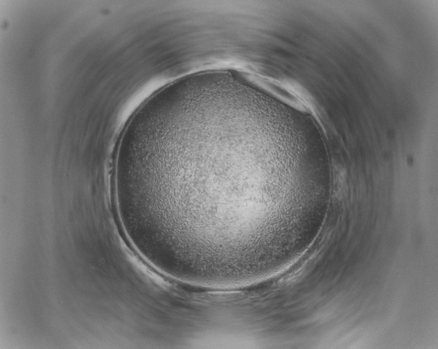 X0000067901151200604201328