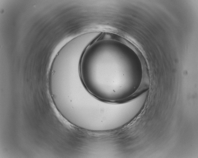 X0000067901152200604201328