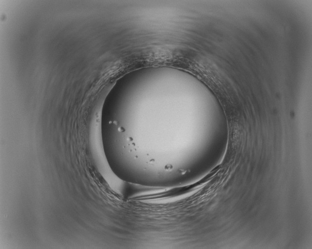 X0000067901153200604201327