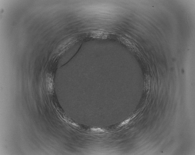 X0000067901154200604201327