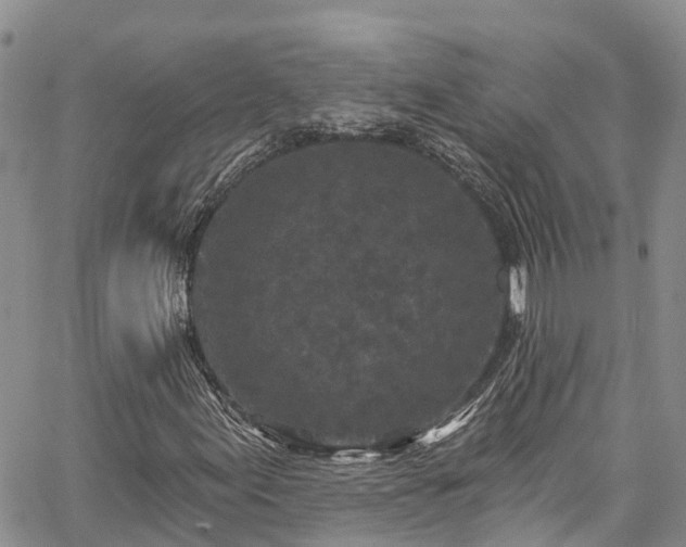 X0000067901155200604201327