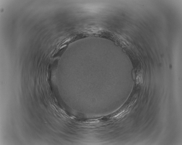 X0000067901156200604201327