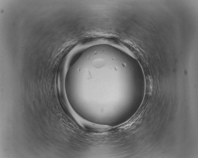 X0000067901157200604201327