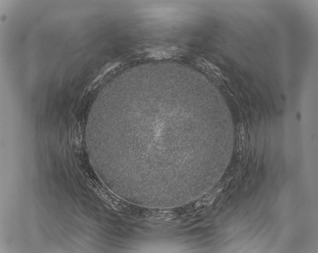 X0000067901158200604201327