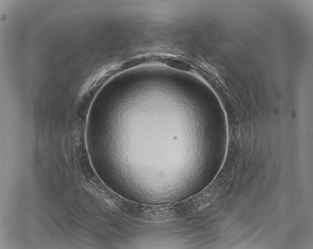 X0000067901159200604201327