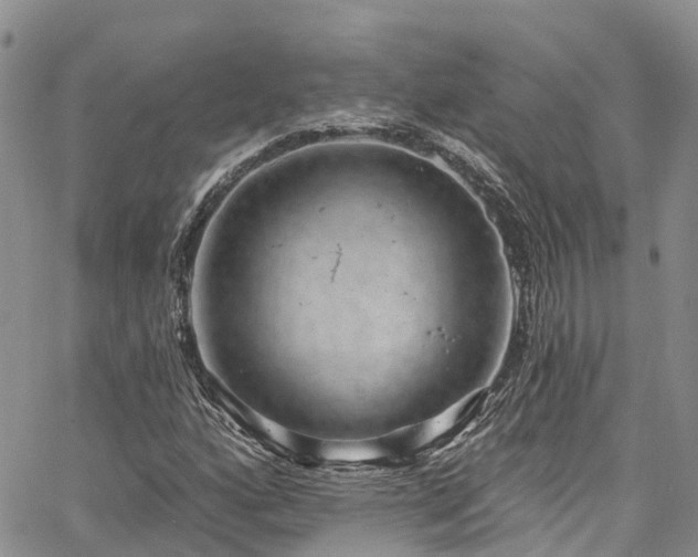 X0000067901160200604201327