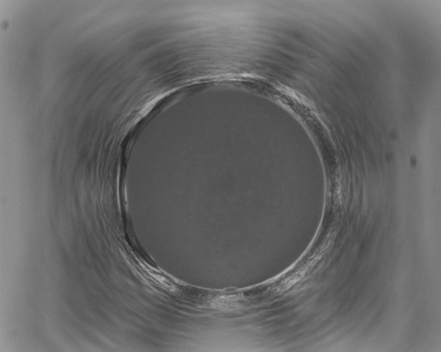 X0000067901161200604201327