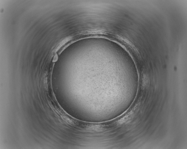 X0000067901162200604201327