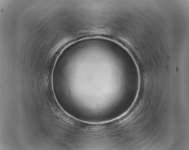 X0000067901163200604201327