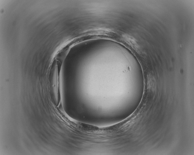 X0000067901164200604201327