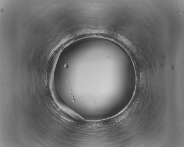 X0000067901165200604201327