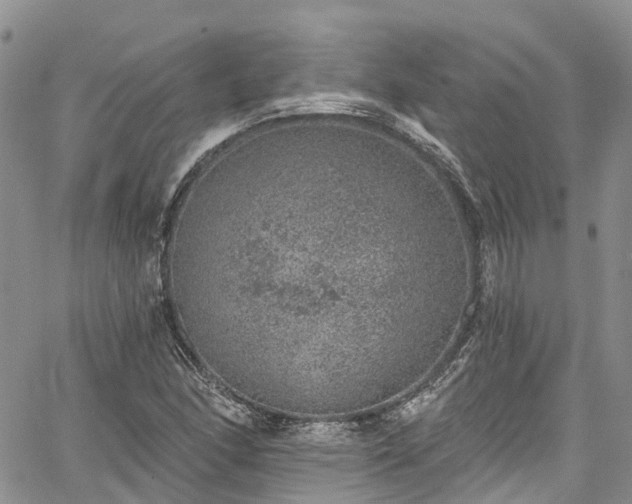 X0000067901166200604201327