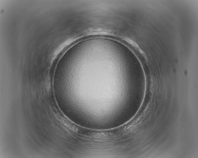 X0000067901167200604201327