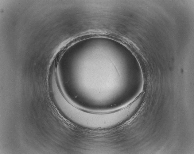 X0000067901168200604201327