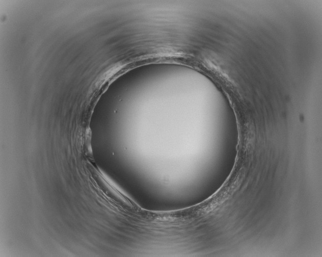 X0000067901169200604201327