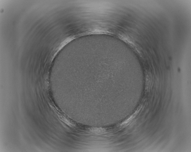 X0000067901170200604201327