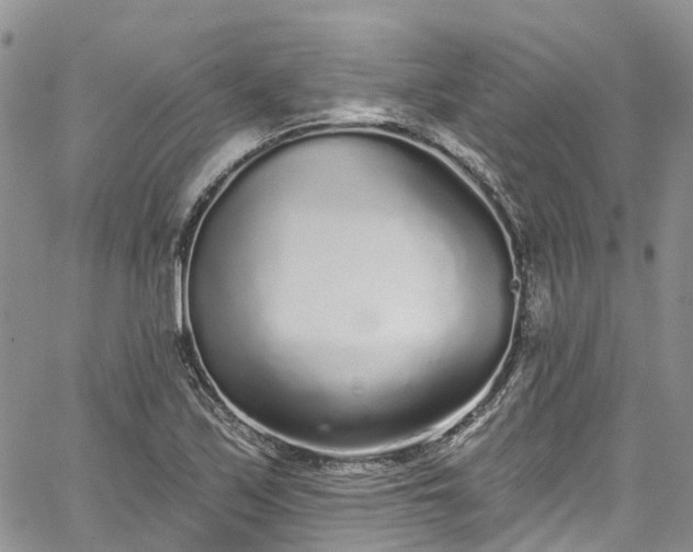 X0000067901171200604201327