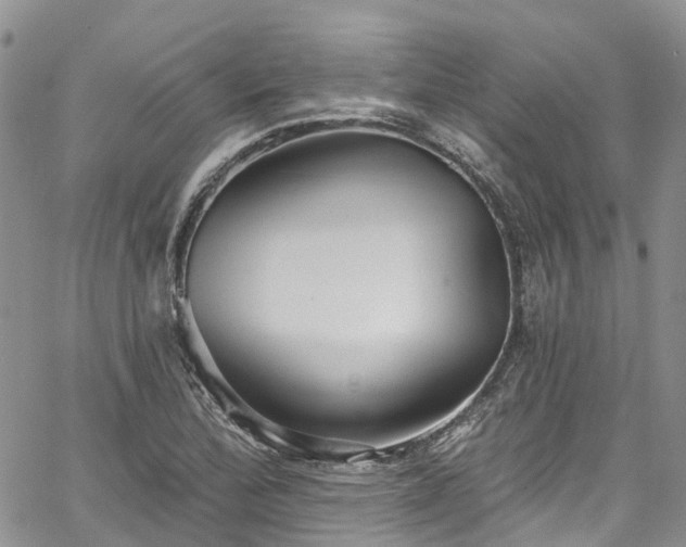 X0000067901172200604201327