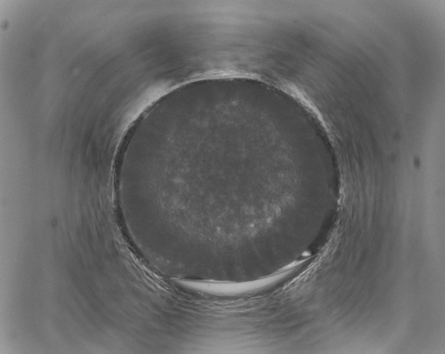 X0000067901173200604201327