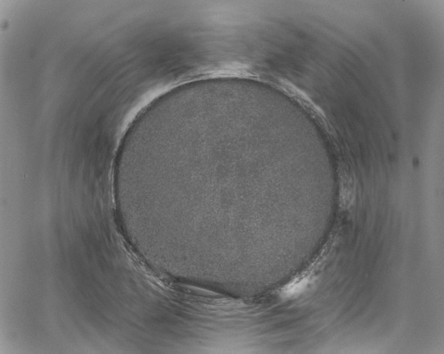 X0000067901174200604201327