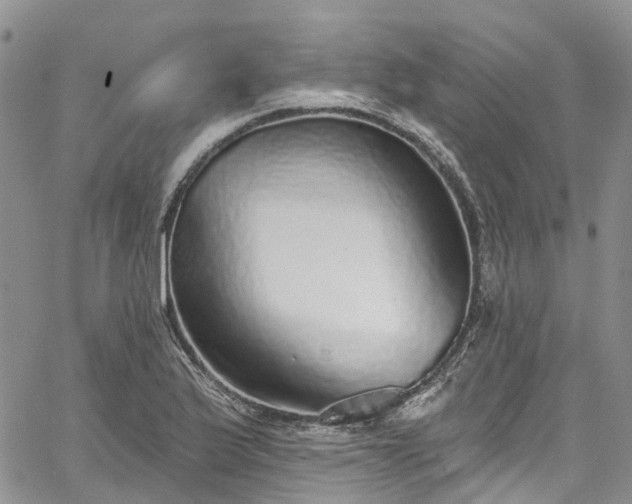 X0000067901175200604201327