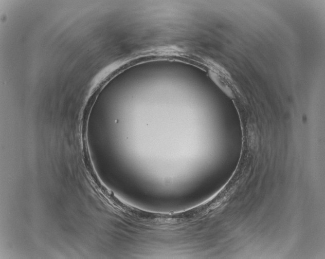 X0000067901176200604201327