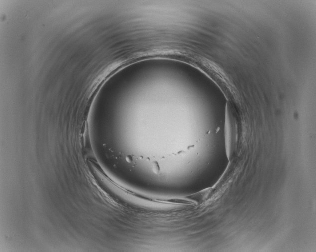 X0000067901177200604201327