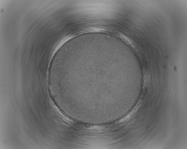 X0000067901178200604201327