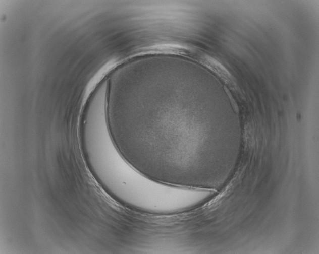 X0000067901180200604201327