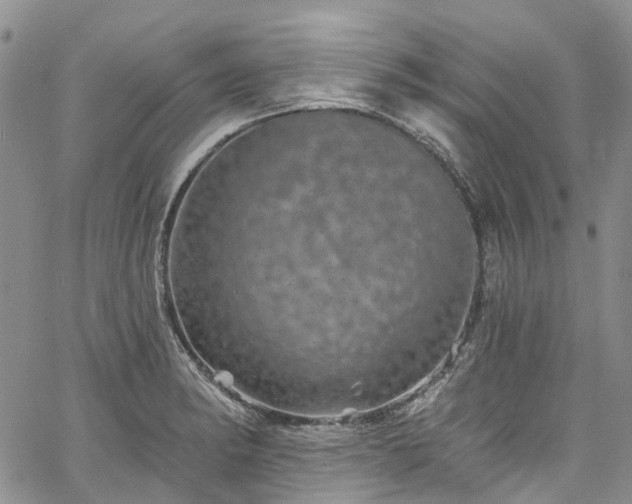 X0000067901182200604201327