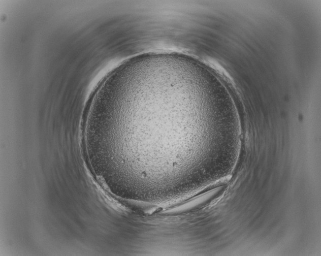 X0000067901183200604201327