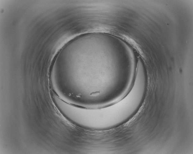 X0000067901184200604201327