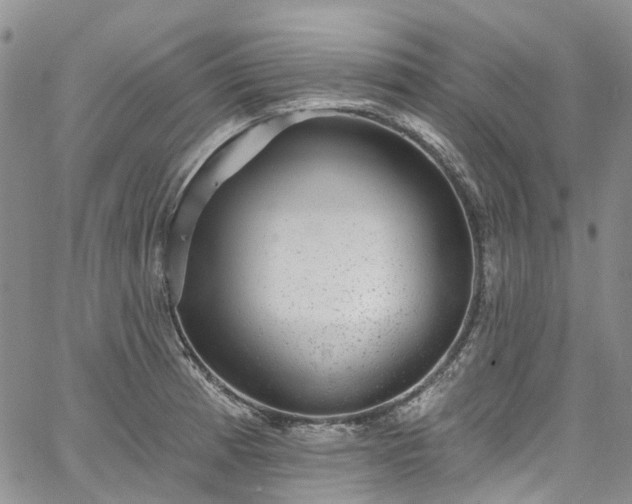 X0000067901185200604201327