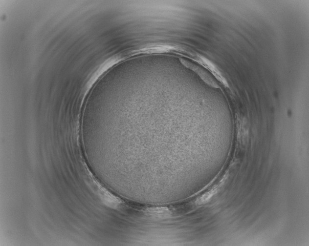 X0000067901186200604201327