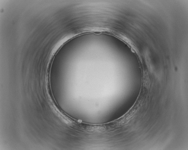 X0000067901187200604201327