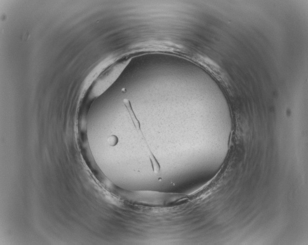 X0000067901188200604201327