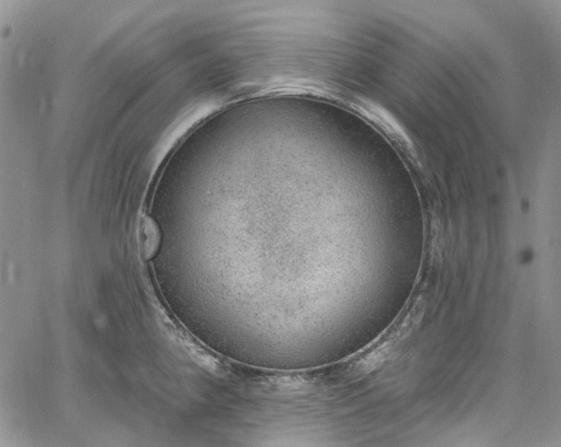 X0000067901190200604201327