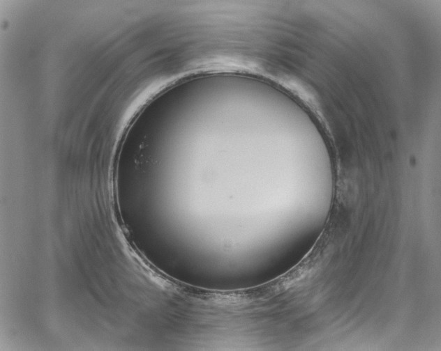 X0000067901191200604201327