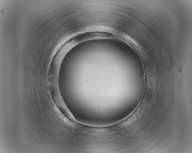 X0000067901192200604201327