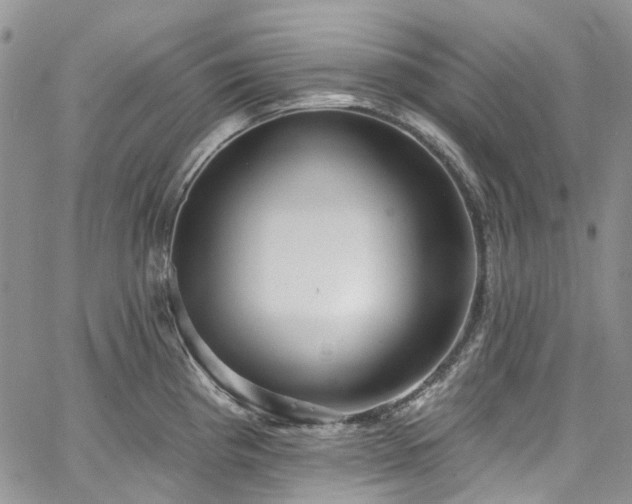 X0000067901193200604201327