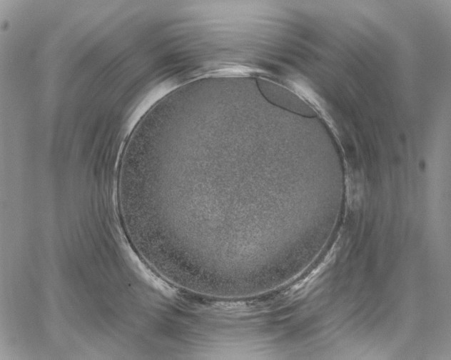 X0000067901194200604201327