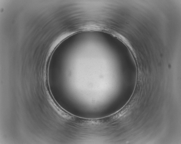 X0000067901195200604201327