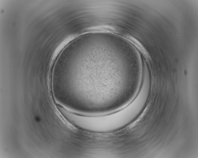 X0000067901196200604201327